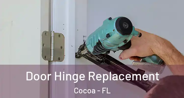 Door Hinge Replacement Cocoa - FL