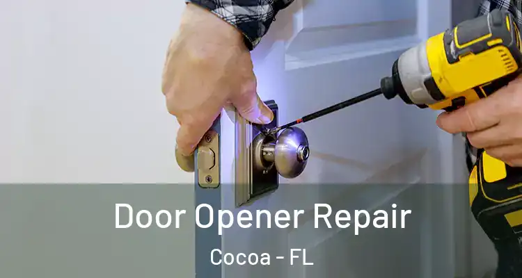 Door Opener Repair Cocoa - FL