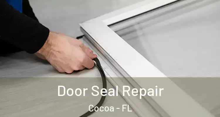 Door Seal Repair Cocoa - FL