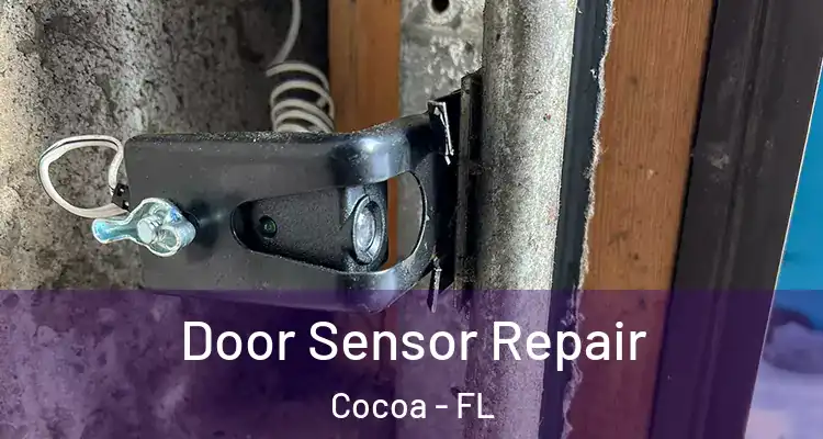 Door Sensor Repair Cocoa - FL