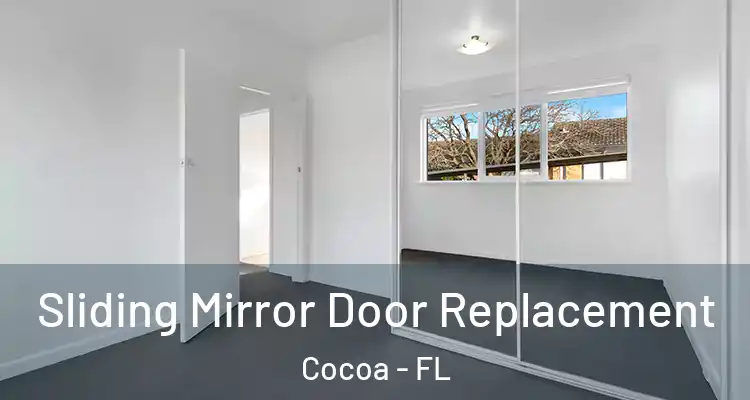  Sliding Mirror Door Replacement Cocoa - FL